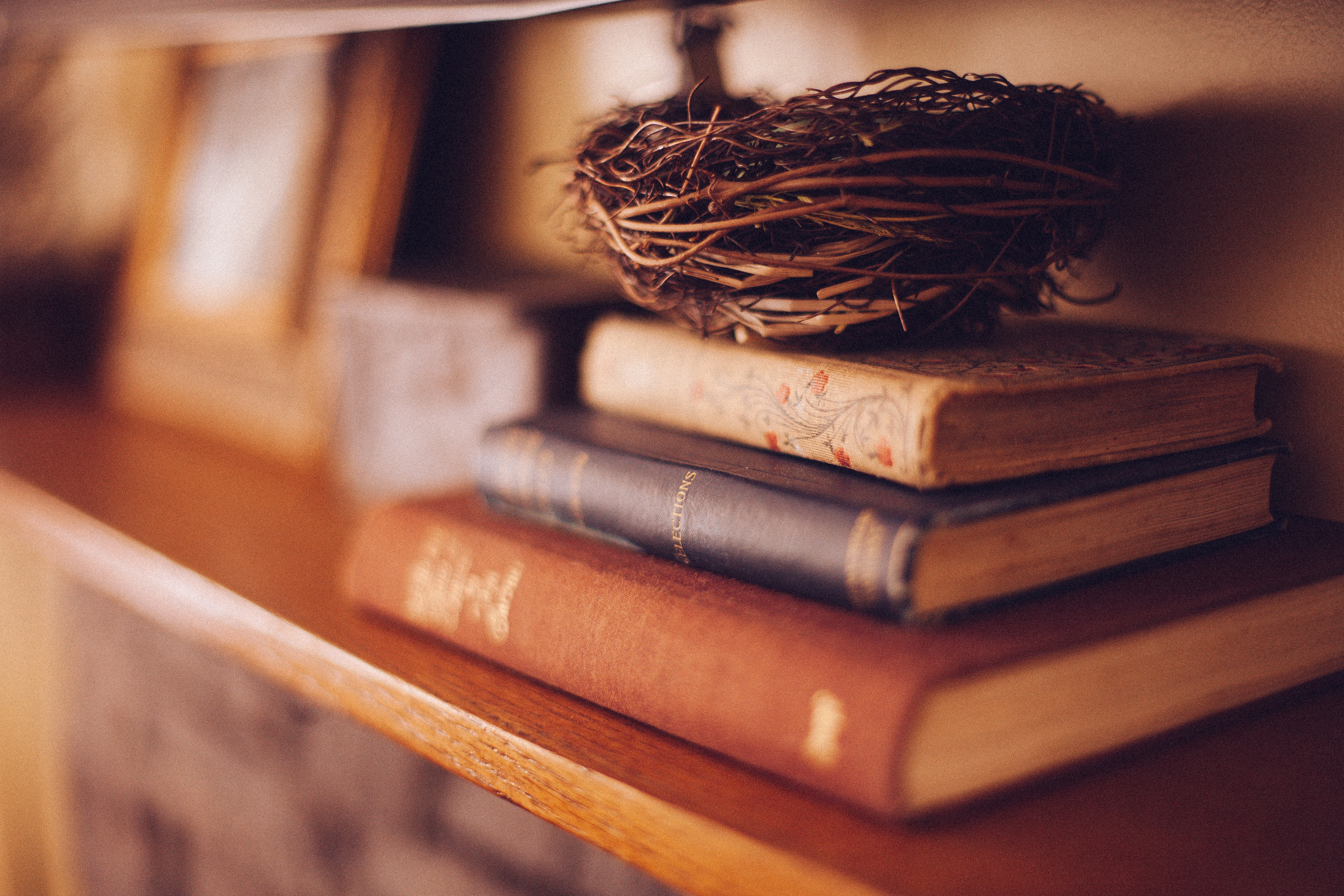 A nest on top of a stack of books, on a bookshelf
